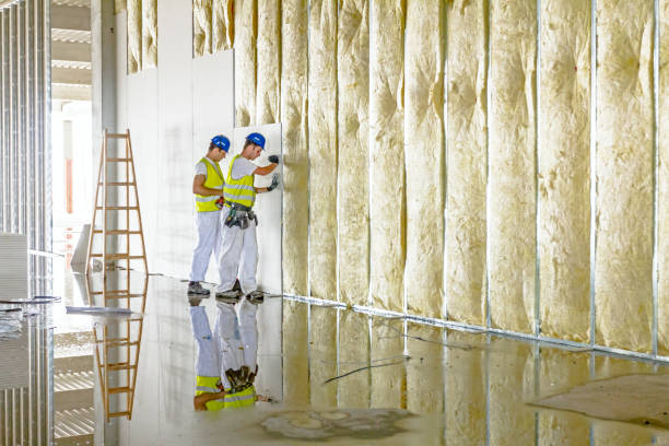 Best Insulation Materials and Products in Rayre, MO